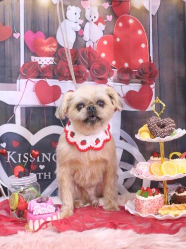 20250209ムーくん